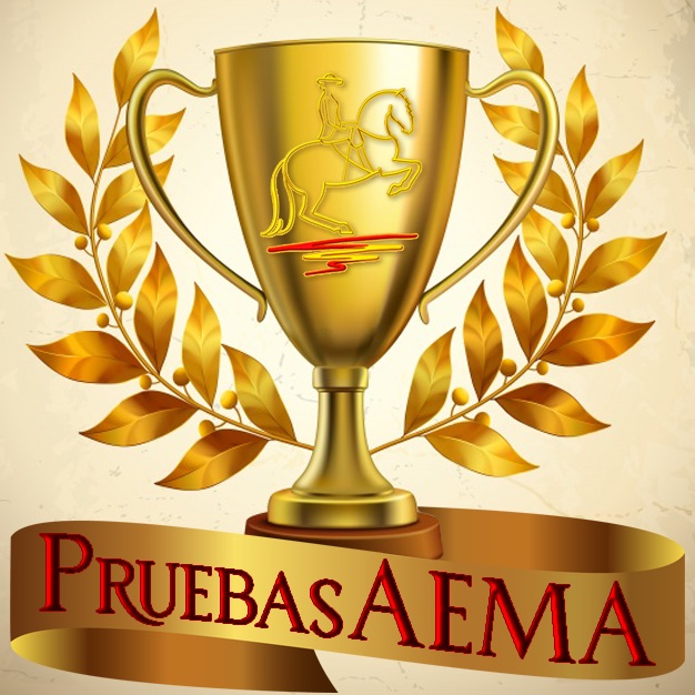 PruebasAEMA