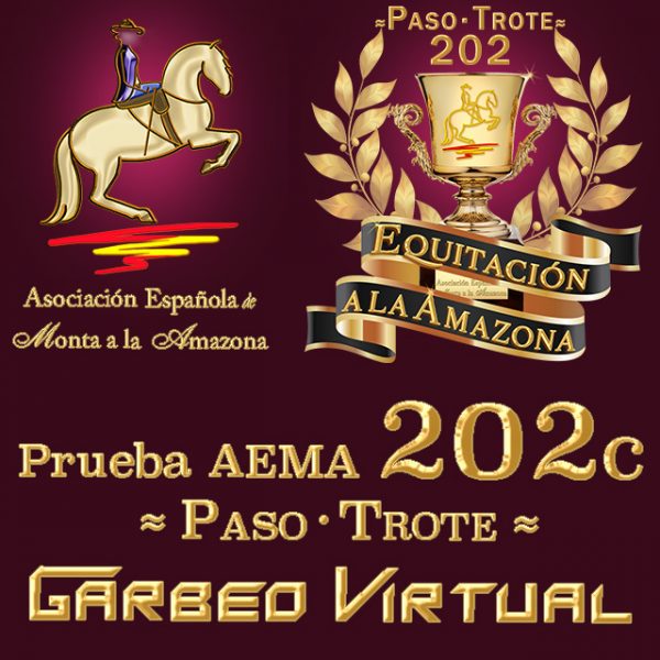 Prueba AEMA 202c ≈ Paso - Trote ≈