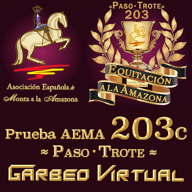 Prueba AEMA 203c