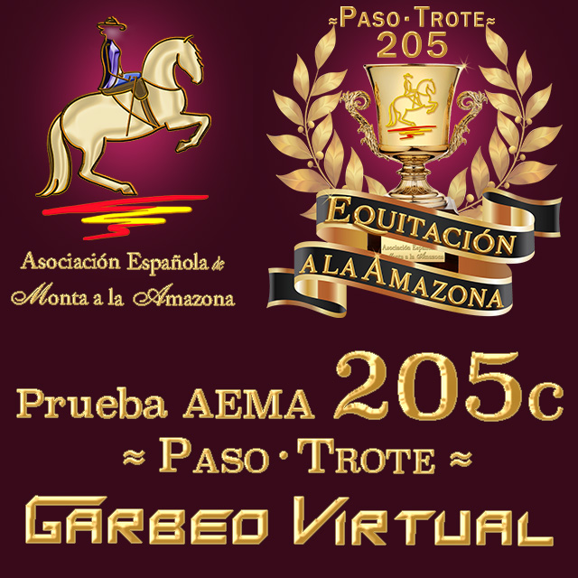 Prueba AEMA 205c