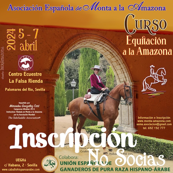 Inscripción Curso AEMA Sevilla 5-7 abr 24 - Imagen 3