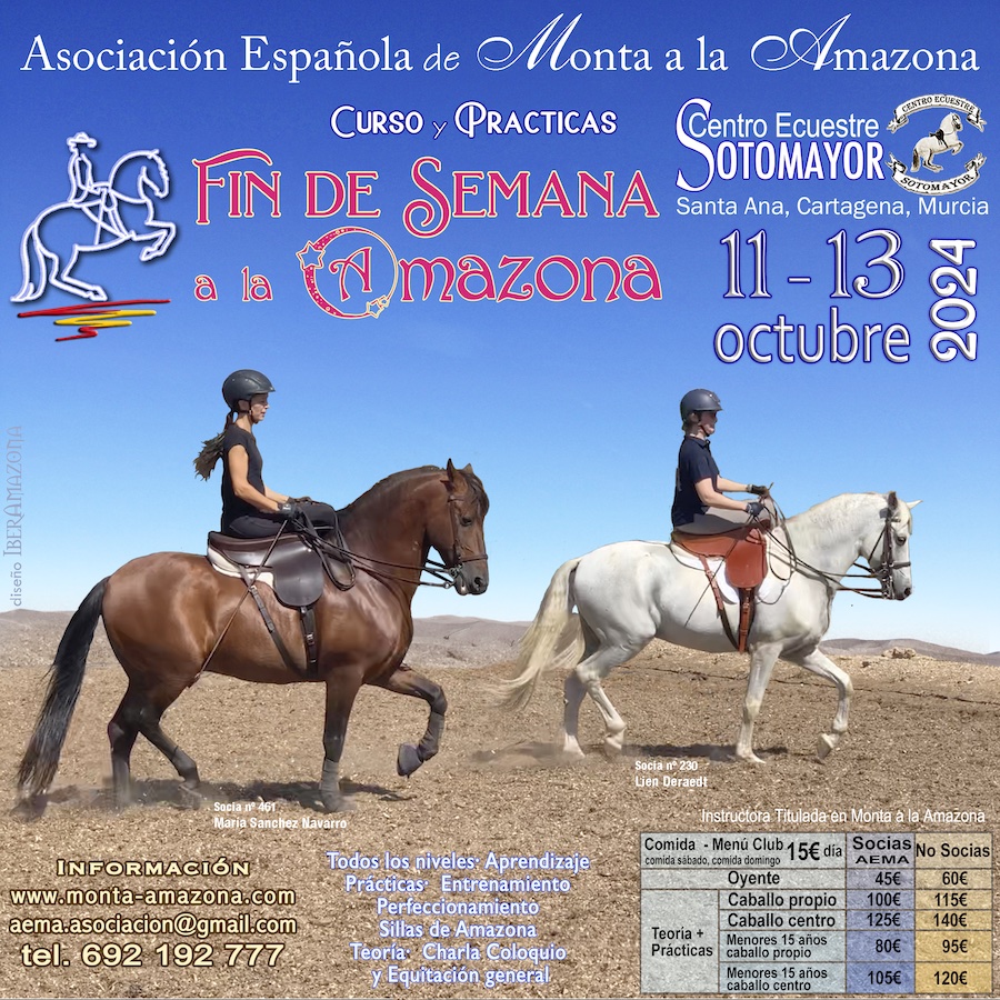 Inscripción Curso AEMA Cartagena 11-13 oct 24 - Imagen 2