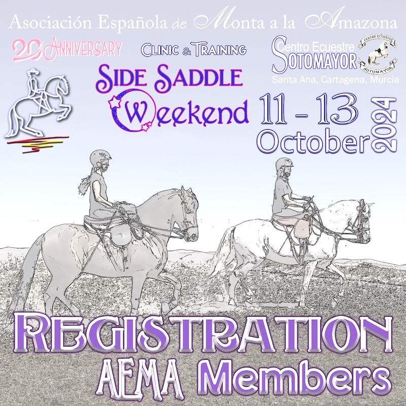 Inscripción Curso AEMA Cartagena 11-13 oct 24 ≈Socias≈ - Imagen 4