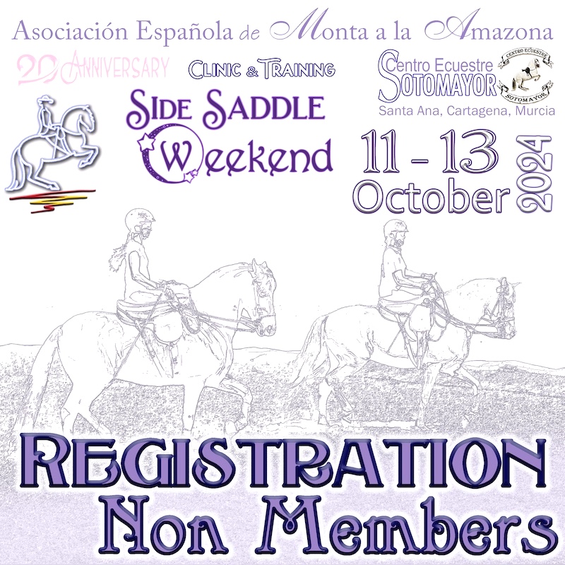 Inscripción Curso AEMA Cartagena 11-13 oct 24 - Imagen 4