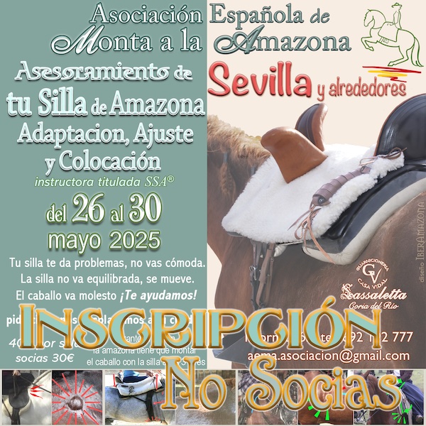 Inscripción Sesión TU SILLA Sevilla 26-30 mayo 25 - Imagen 3