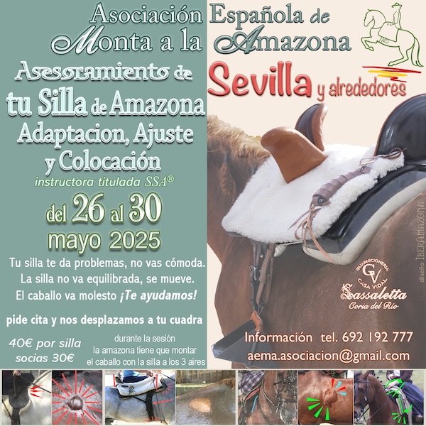 250526_AjusteSilla_600