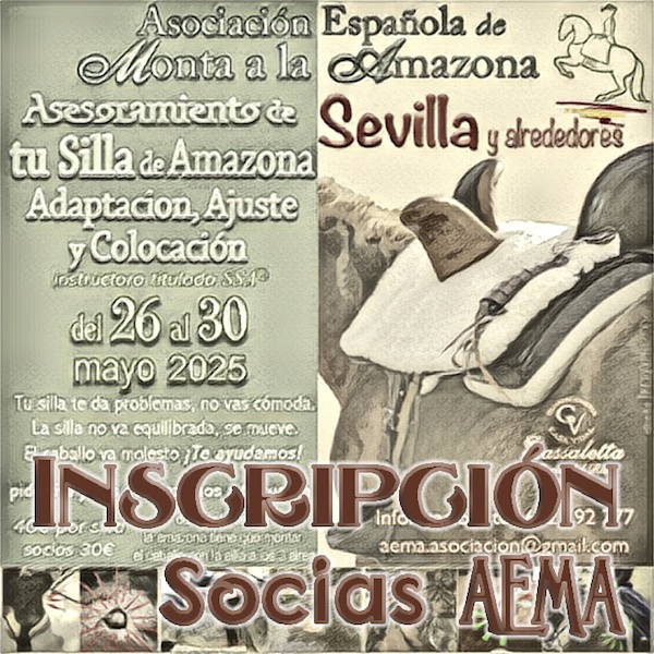Inscripción Sesión TU SILLA Sevilla 26-30 mayo 25 ≈Socias≈