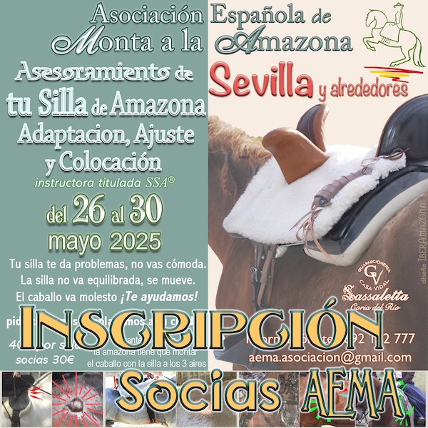 Inscripción Sesión TU SILLA Sevilla 26-30 mayo 25 ≈Socias≈ - Imagen 3