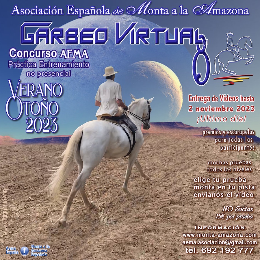 Inscripción «Garbeo Virtual 8» - Imagen 2